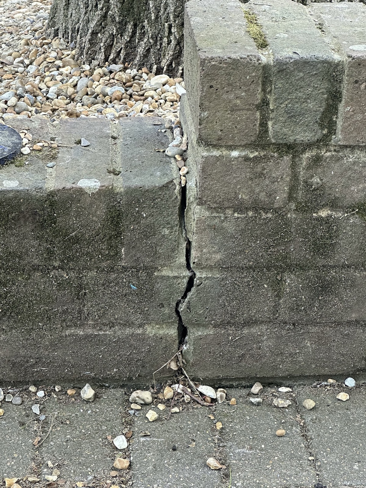 A crack splitting a concrete block step